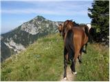 Bohinjsko sedlo - Planina Za Črno goro